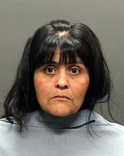 Mug shots 2019